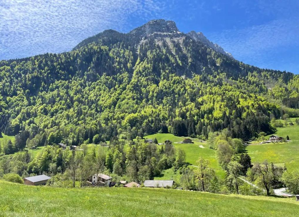 Le Chalet Des Reves - La Roche Blanche Entremont Exterior foto